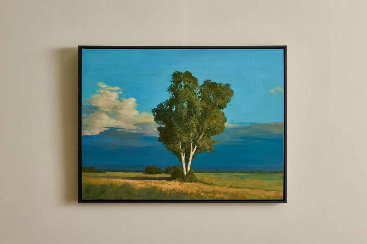 Nicky Kehoe - Connecticut Evening