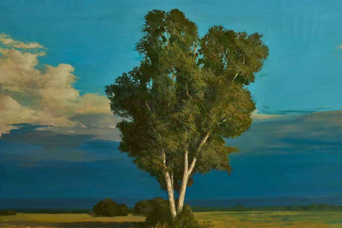 Nicky Kehoe - Connecticut Evening