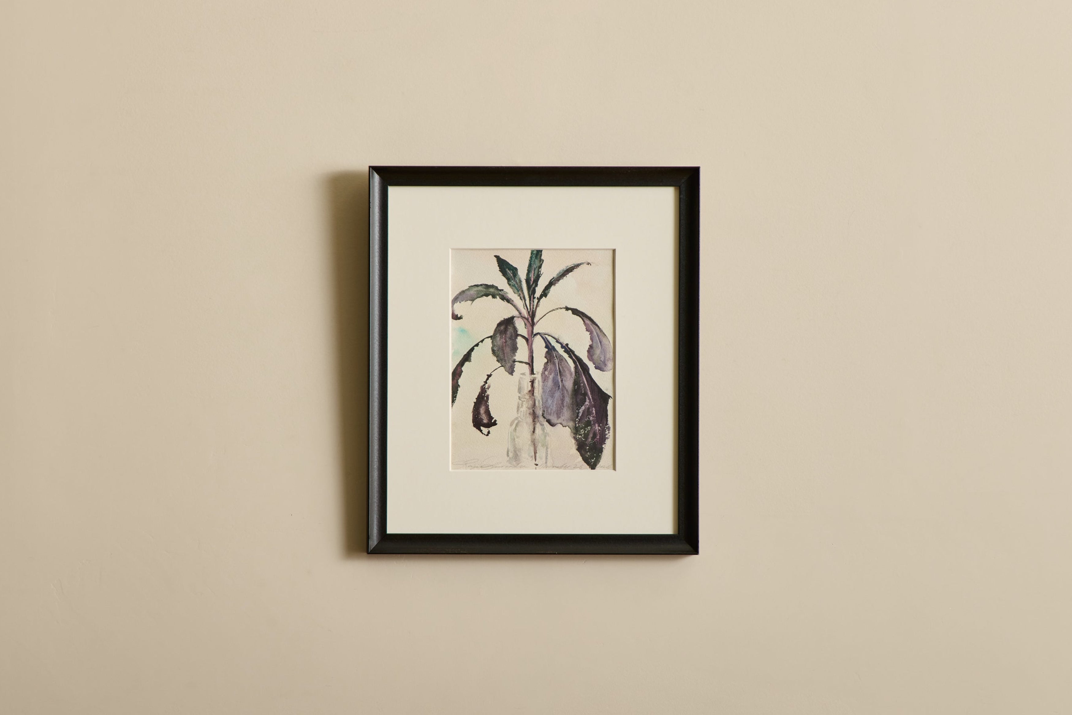 Nicky Kehoe - Lacinto Kale Study No. 2