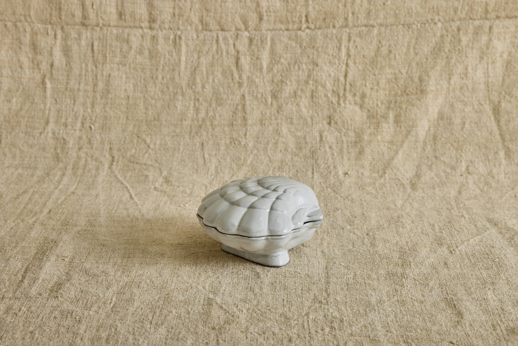 Nicky Kehoe - Coquillage Box