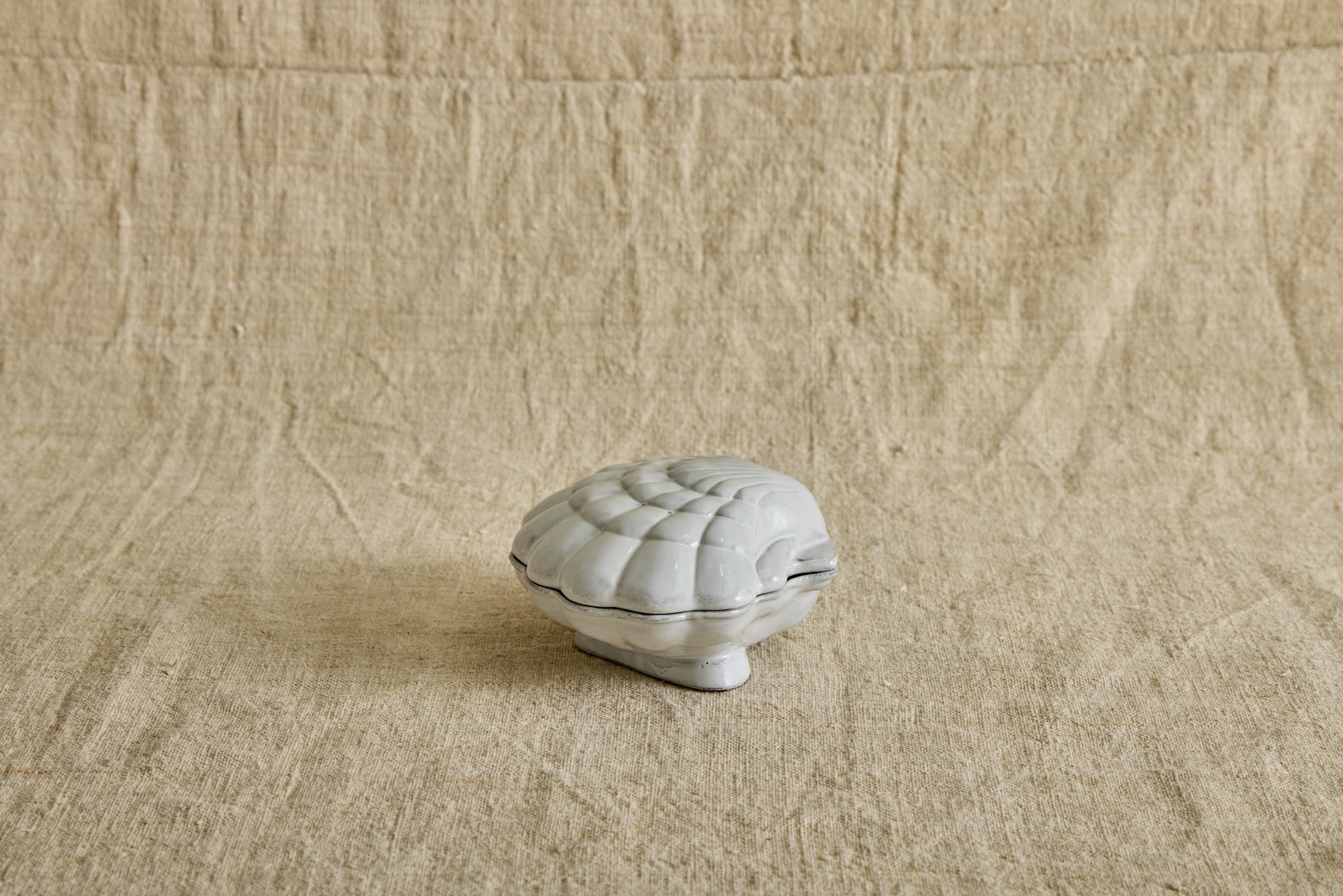 Nicky Kehoe - Coquillage Box