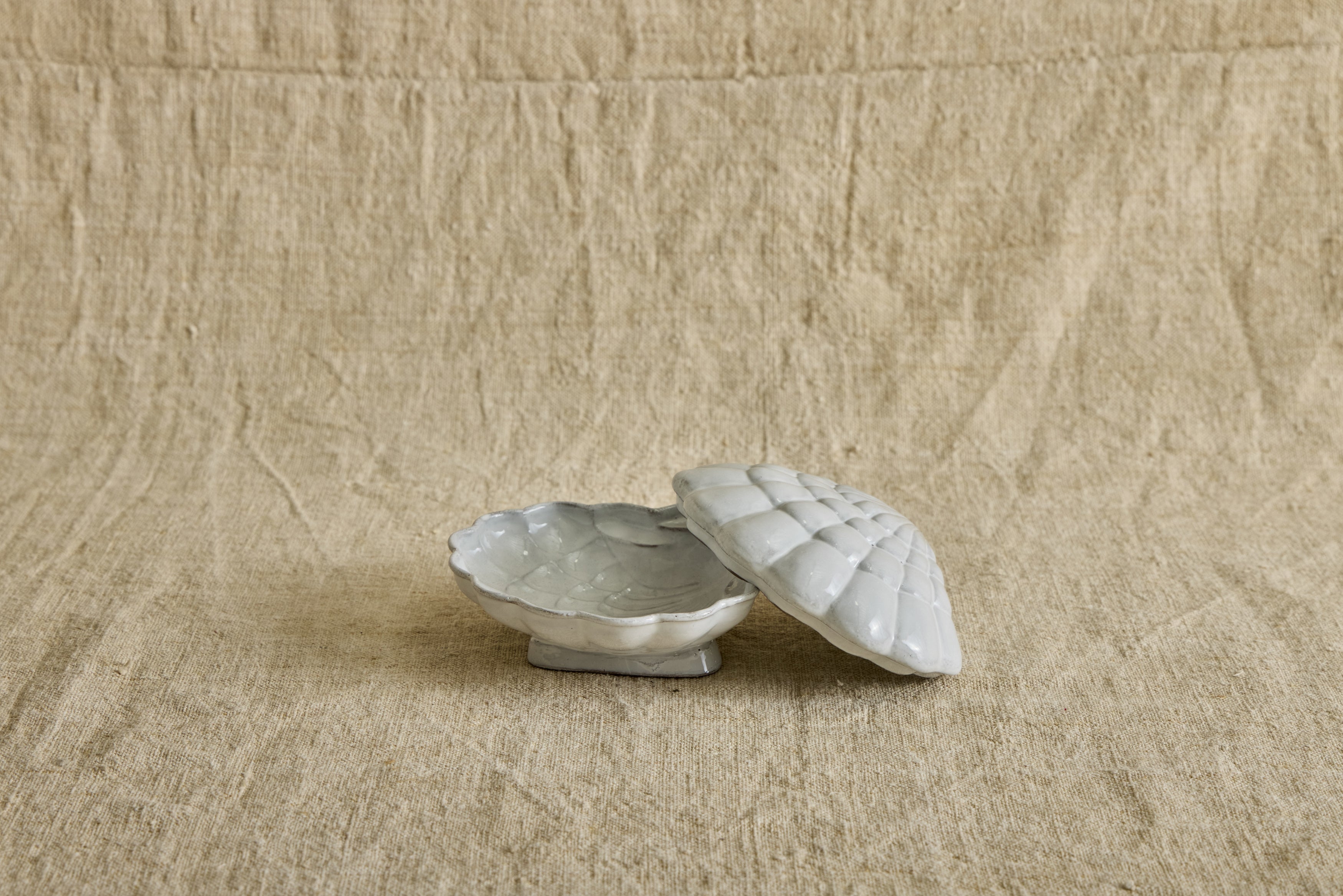 Nicky Kehoe - Coquillage Box