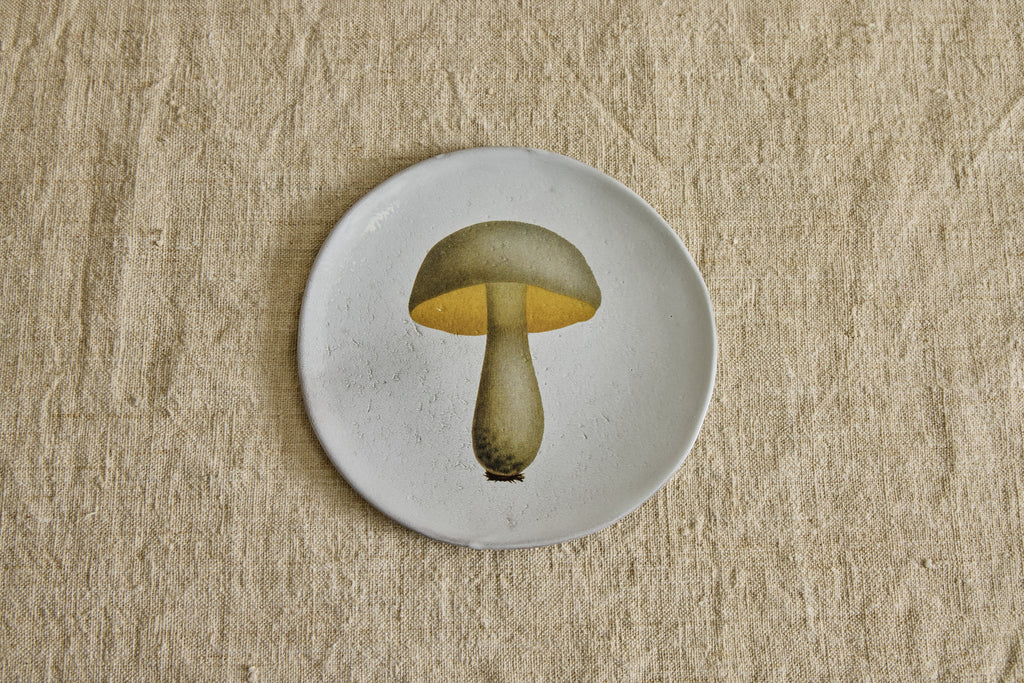 Nicky Kehoe - Medium Bolert Blanchatre Plate