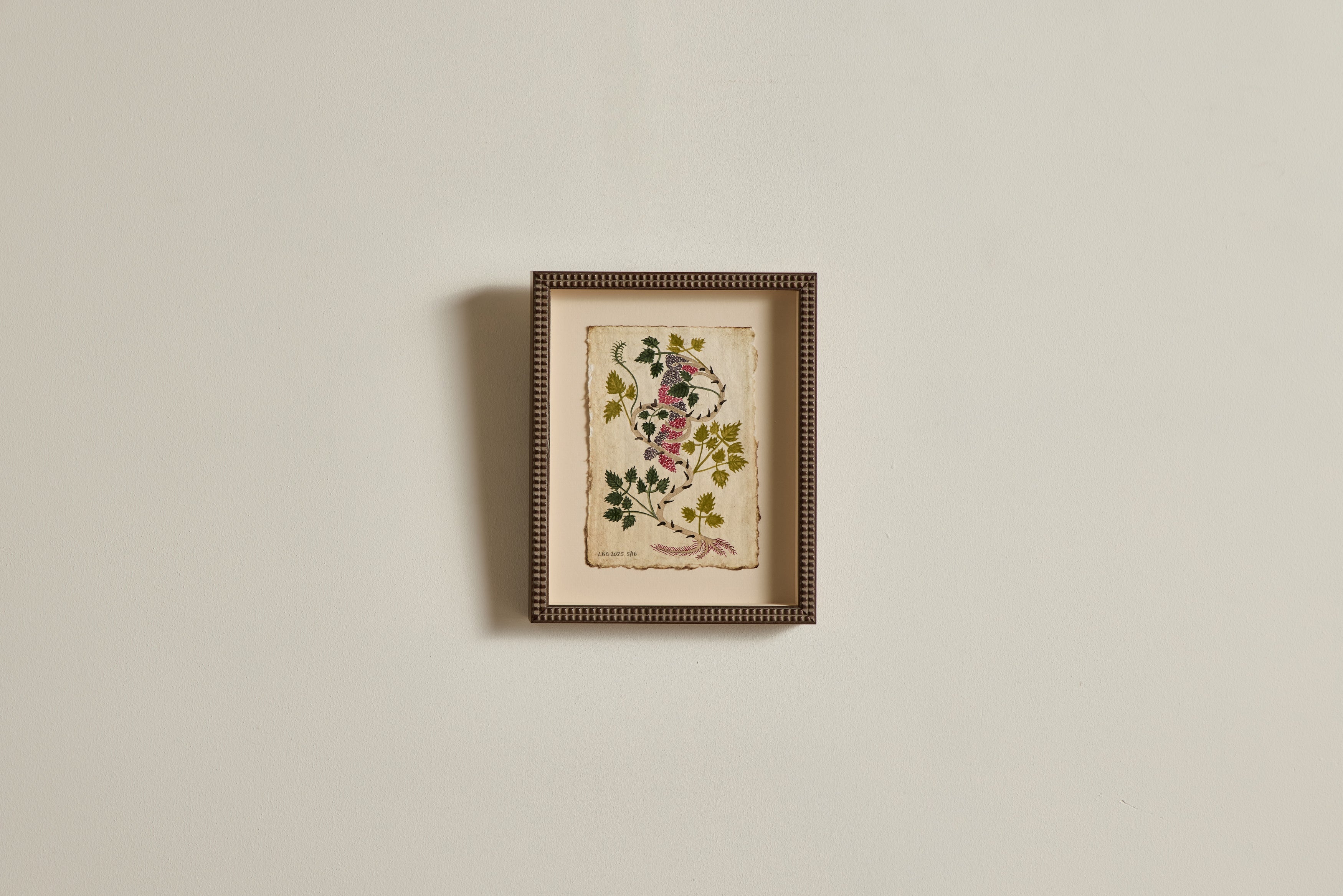 Nicky Kehoe - Botanical No. 11/16