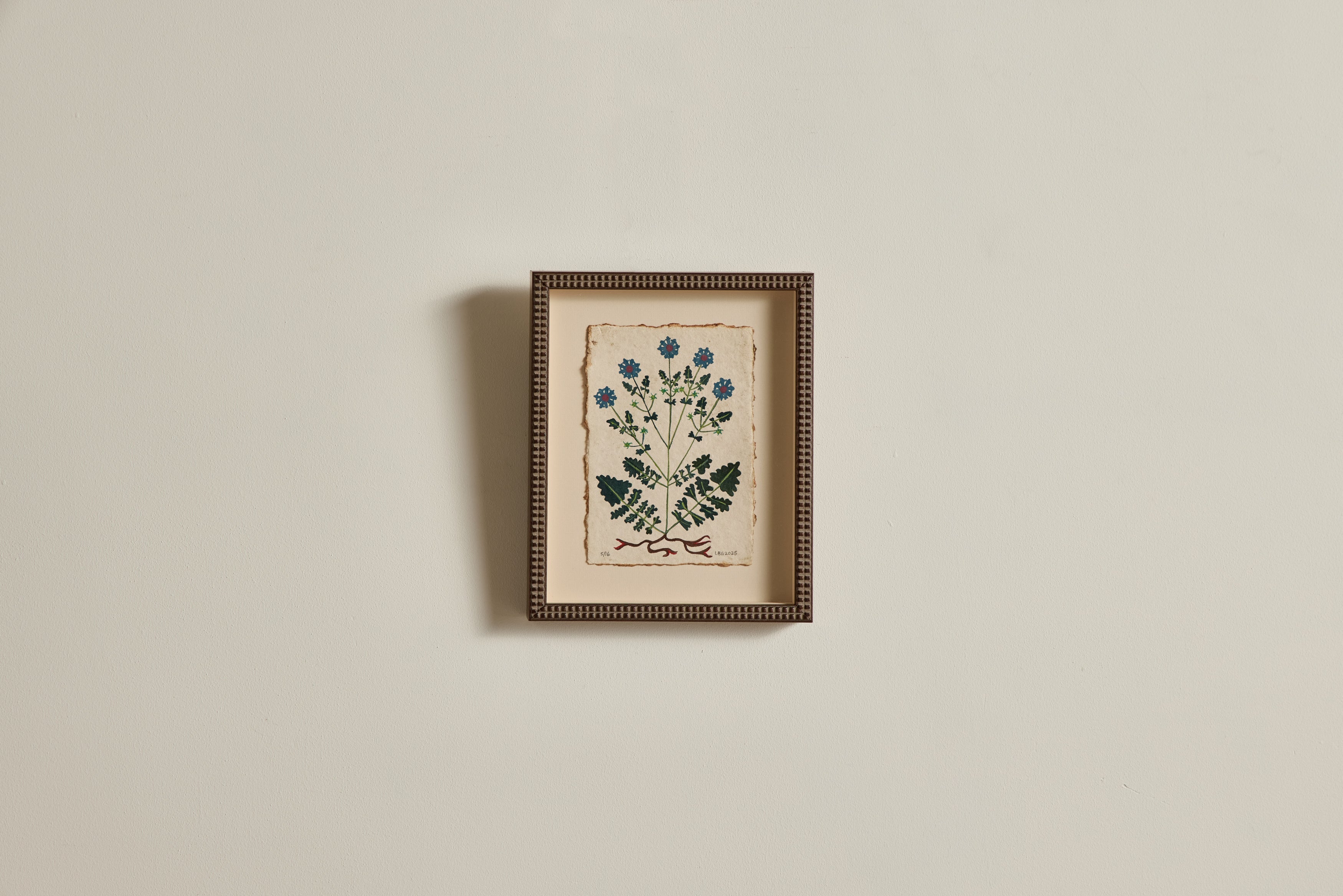Nicky Kehoe - Botanical No. 13/16