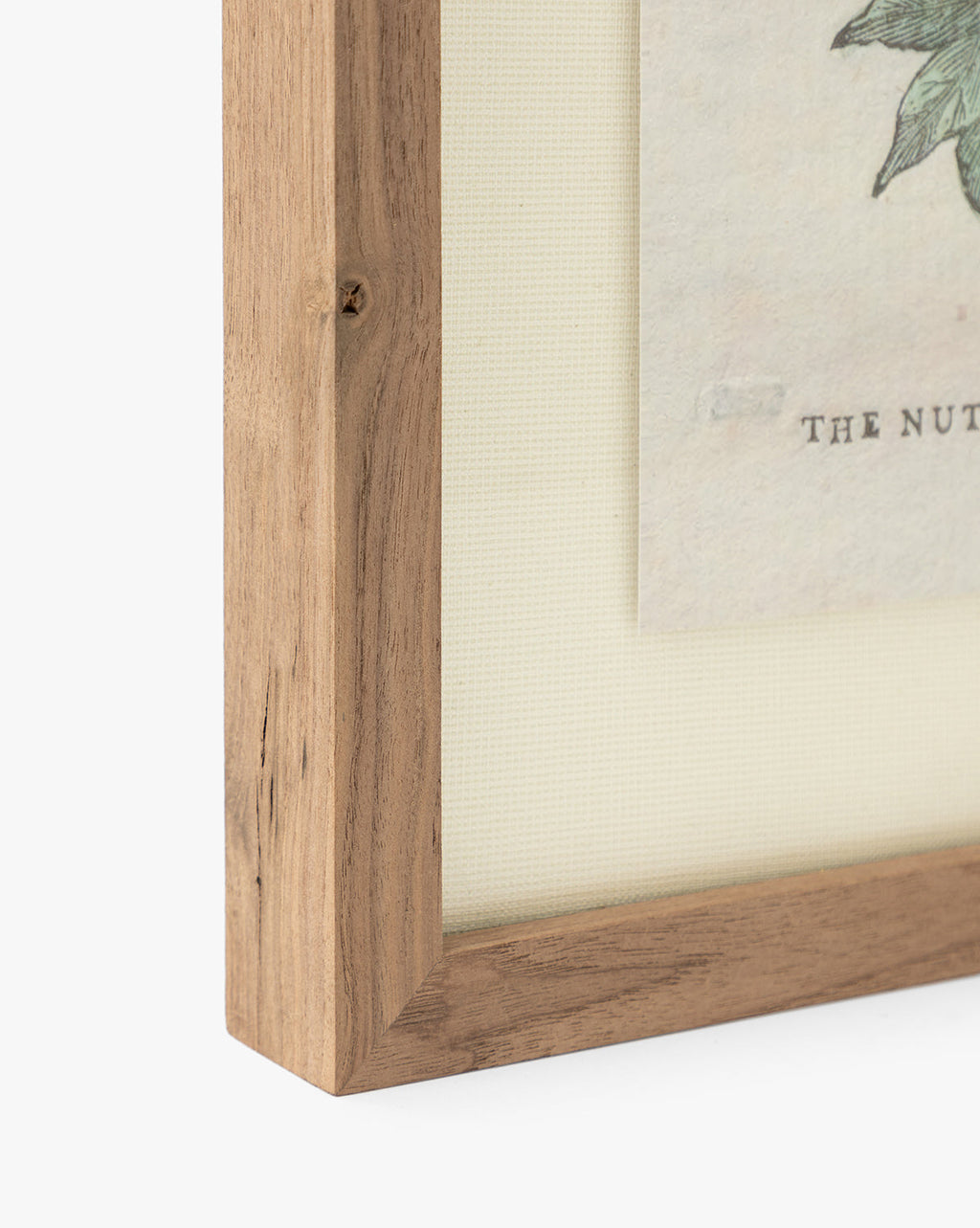 McGee & Co - Nutmeg & Mace Tree