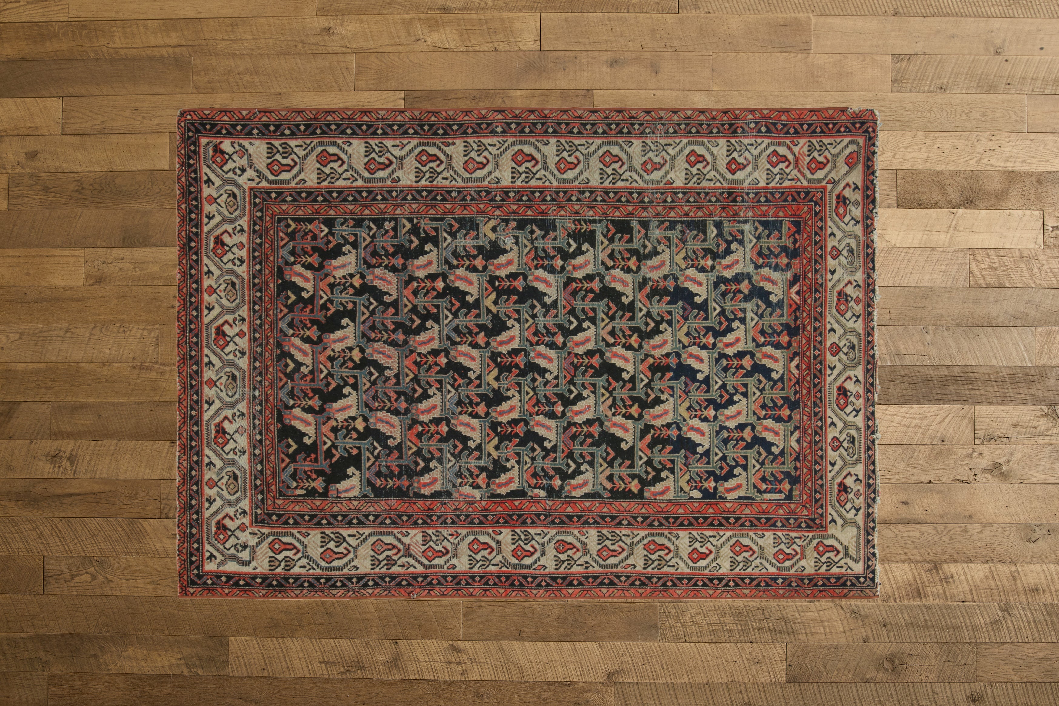 Nicky Kehoe - Coral & Green Malayer Rug 4’6 X 6’7
