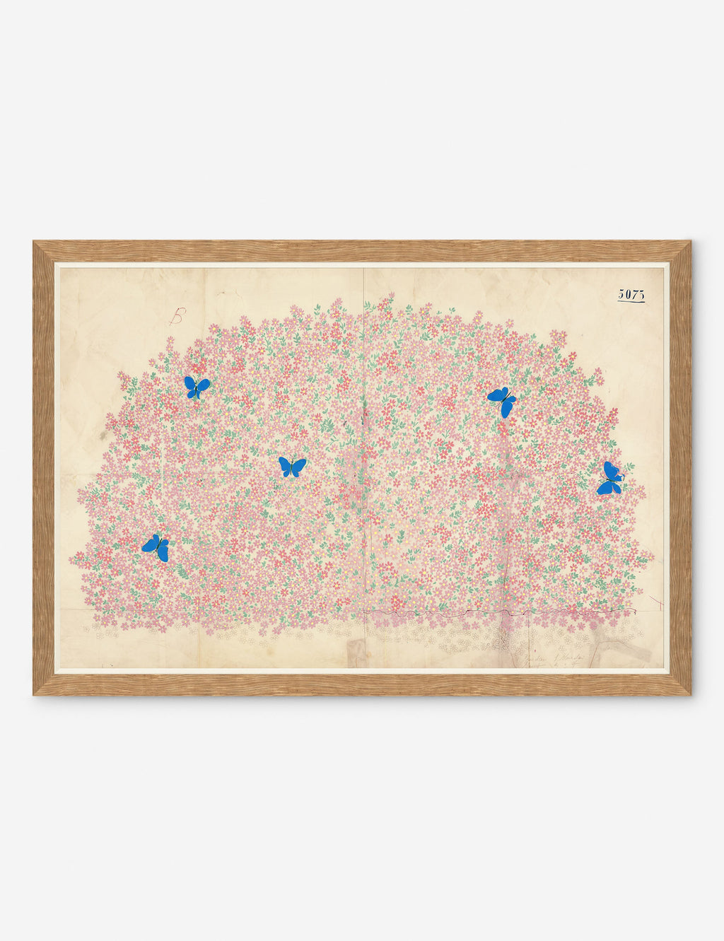 Lulu and Georgia - Myosotis Print by Paule Marrot