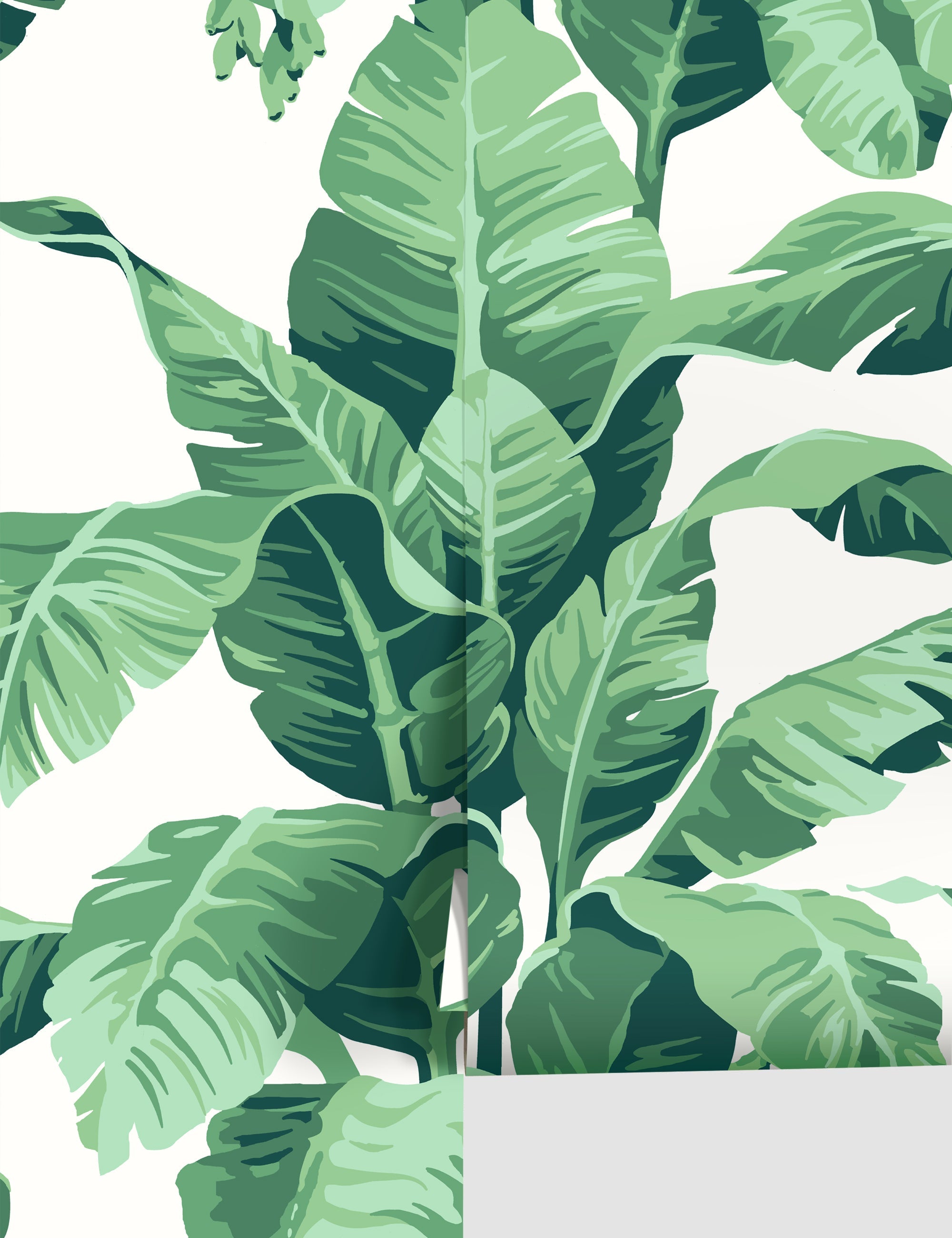 Lulu and Georgia - Pacifico Palm Wallpaper by Nathan Turner