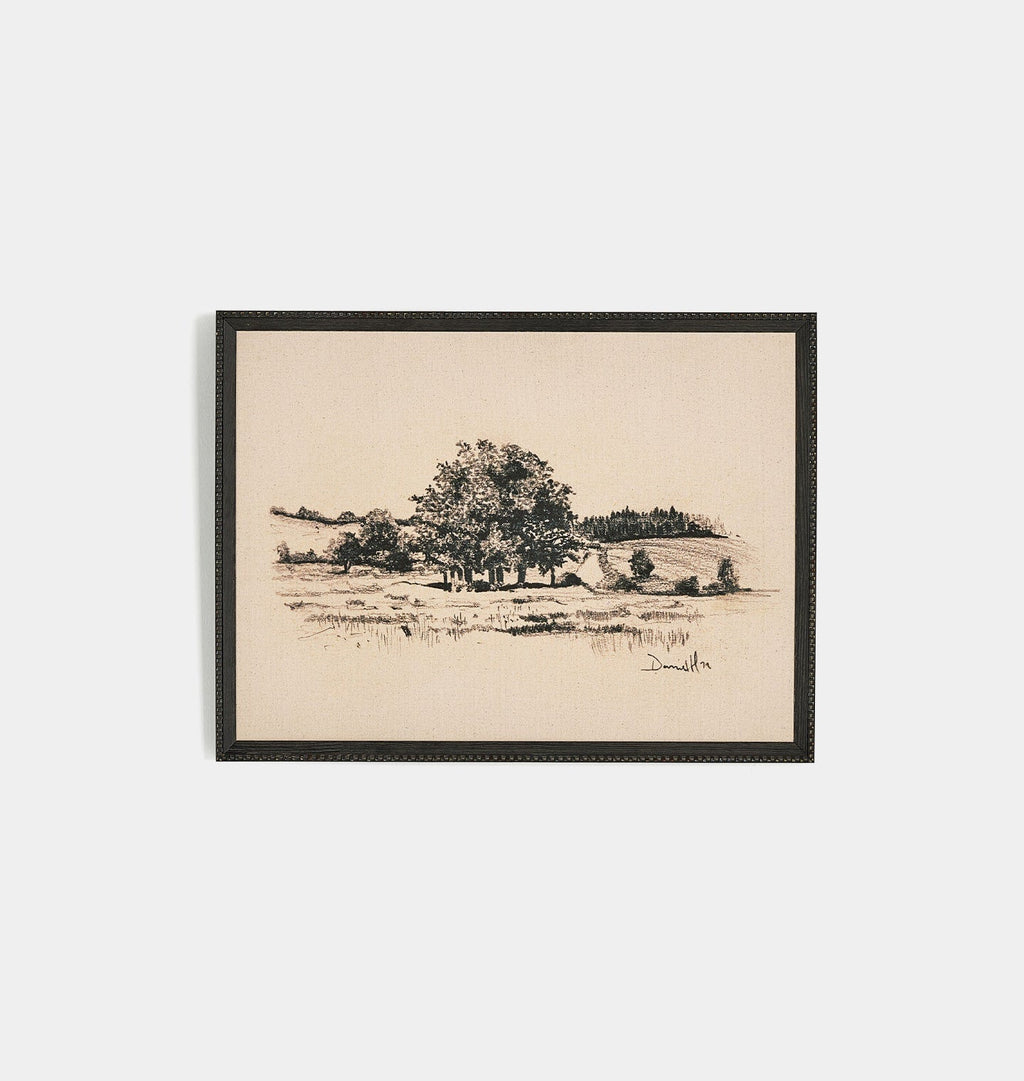 Amber Interiors - Path View by Dan Hobday Framed Print