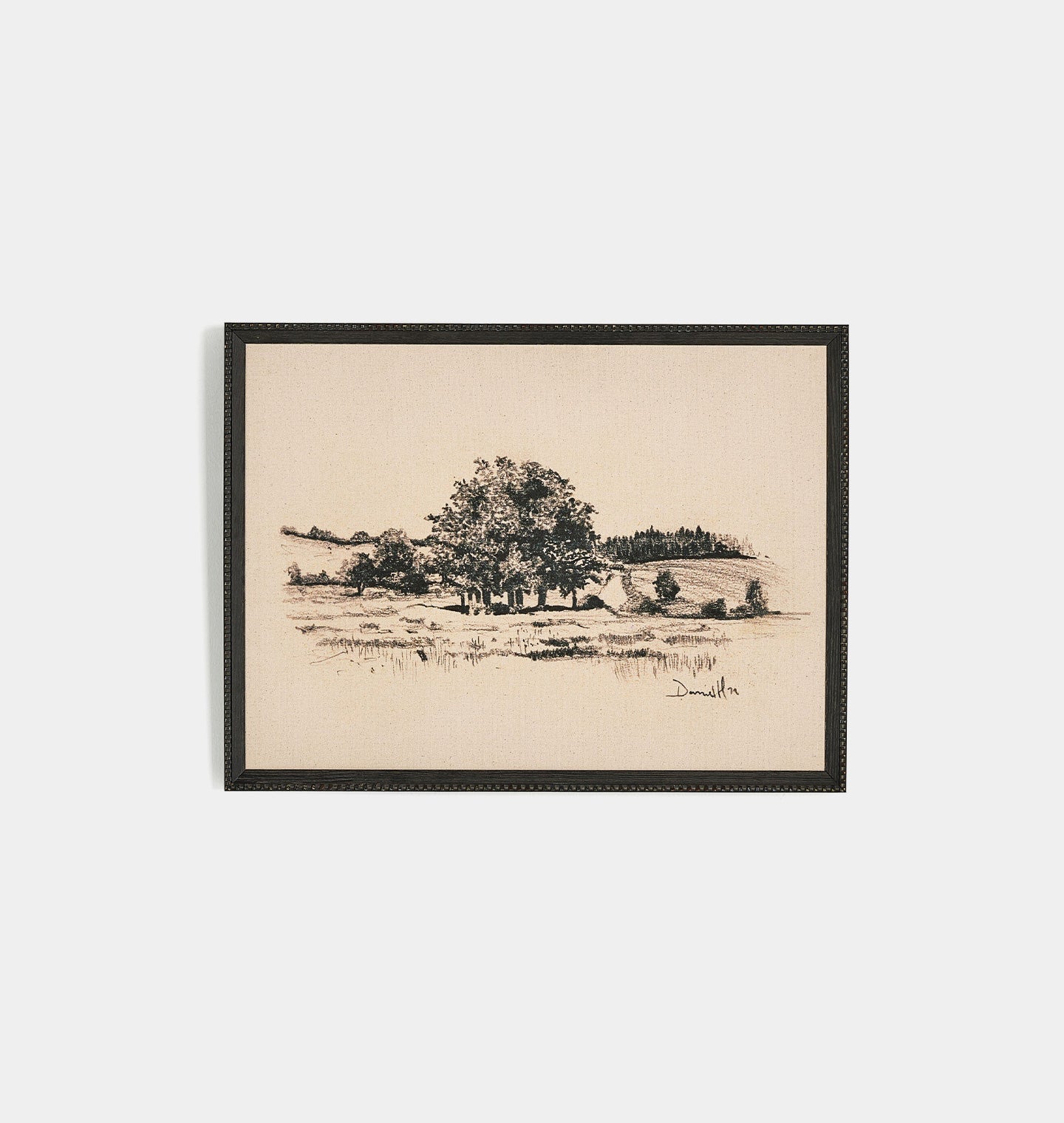 Amber Interiors - Path View by Dan Hobday Framed Print