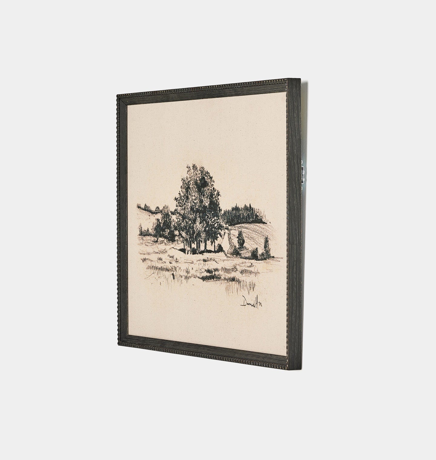 Amber Interiors - Path View by Dan Hobday Framed Print