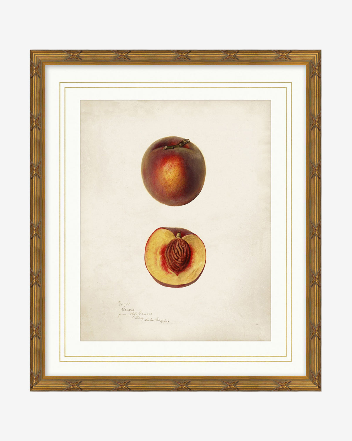 McGee & Co - Peach Study