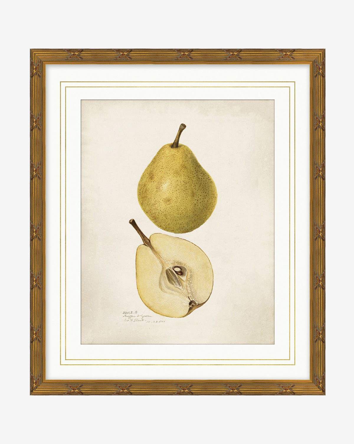 McGee & Co - Pear Study