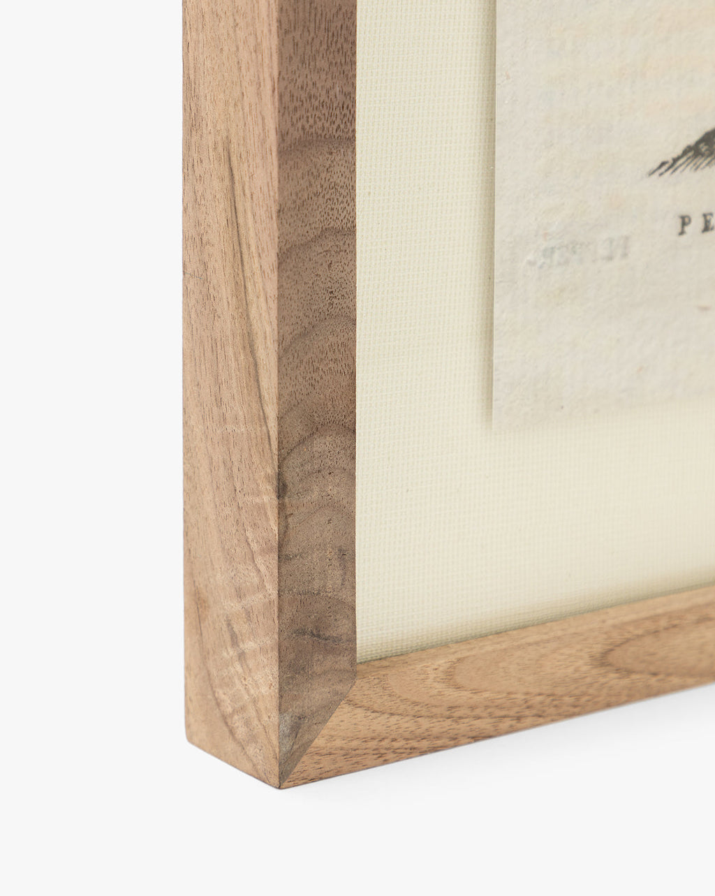 McGee & Co - Pepper Tree
