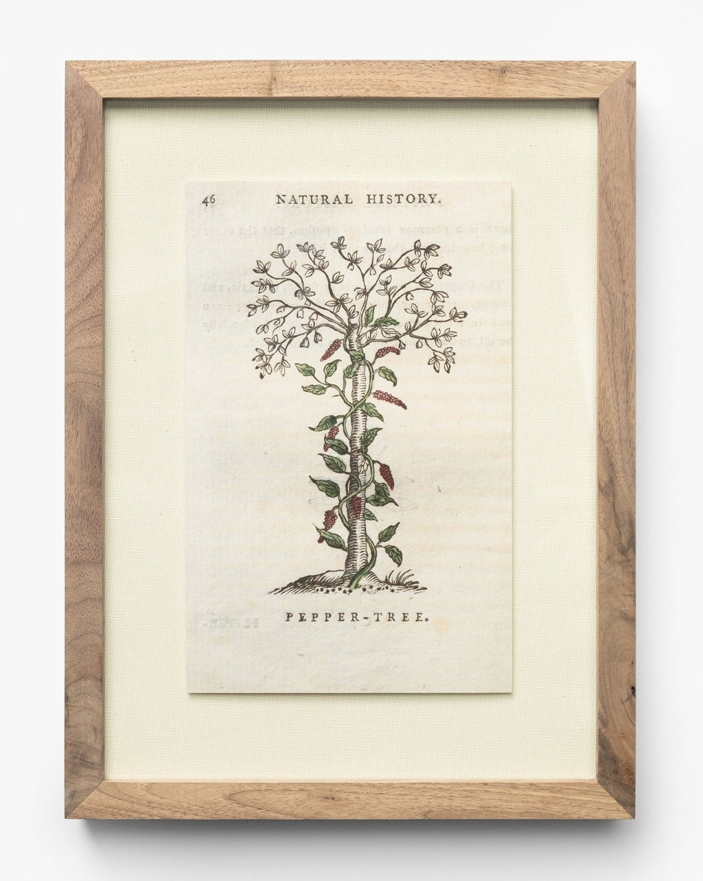 McGee & Co - Pepper Tree