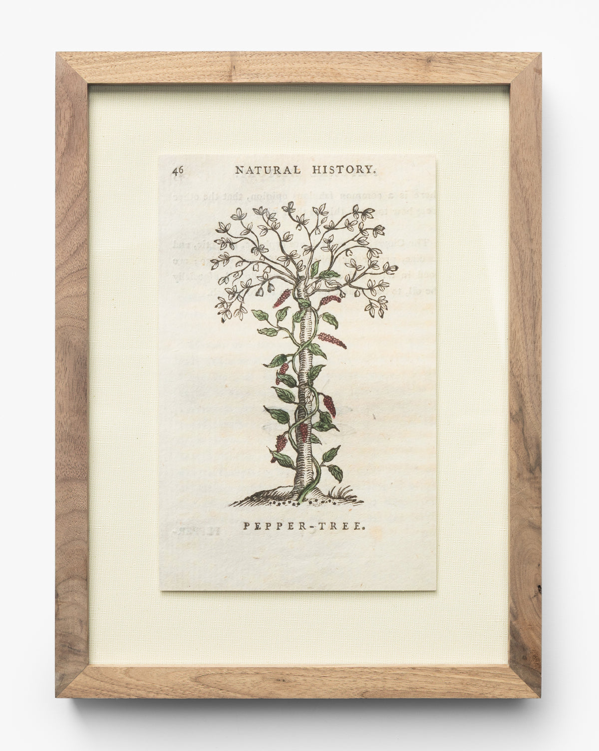 McGee & Co - Pepper Tree