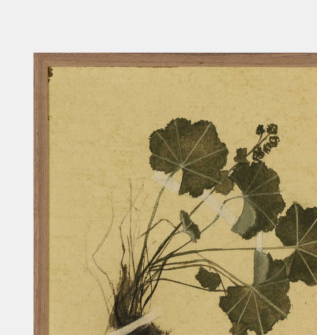 Amber Interiors - Petite Study No. VII by Hannah Winters Framed Print