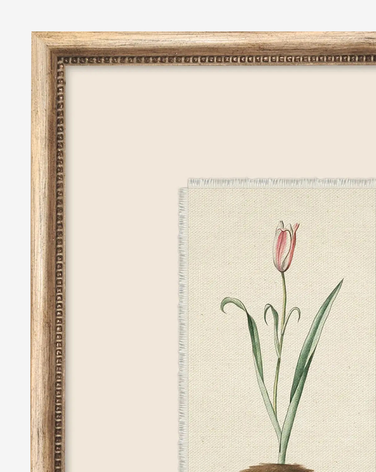 McGee & Co - Petite Floral I