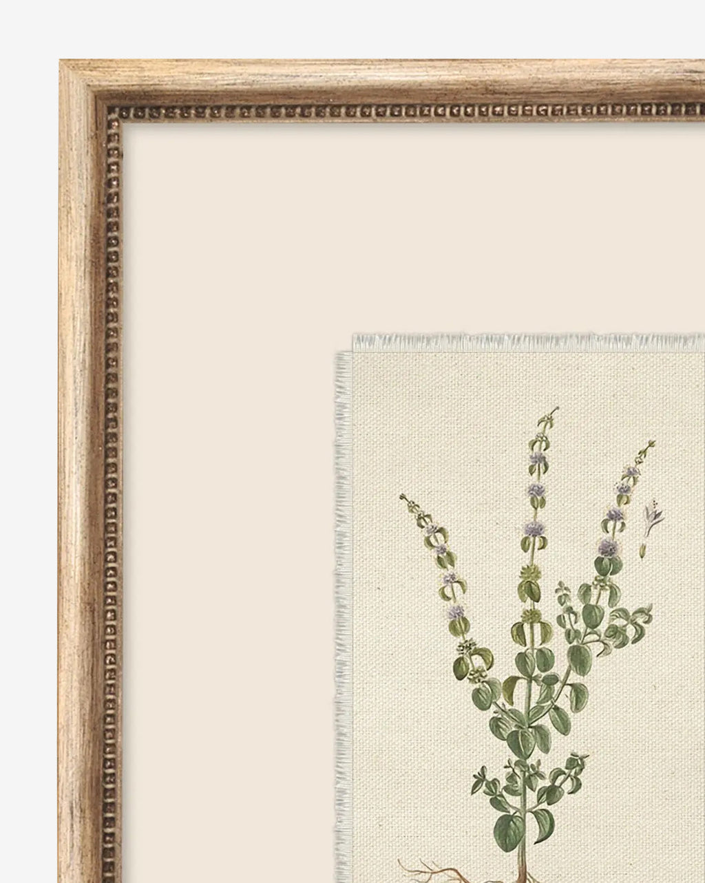 McGee & Co - Petite Floral VI