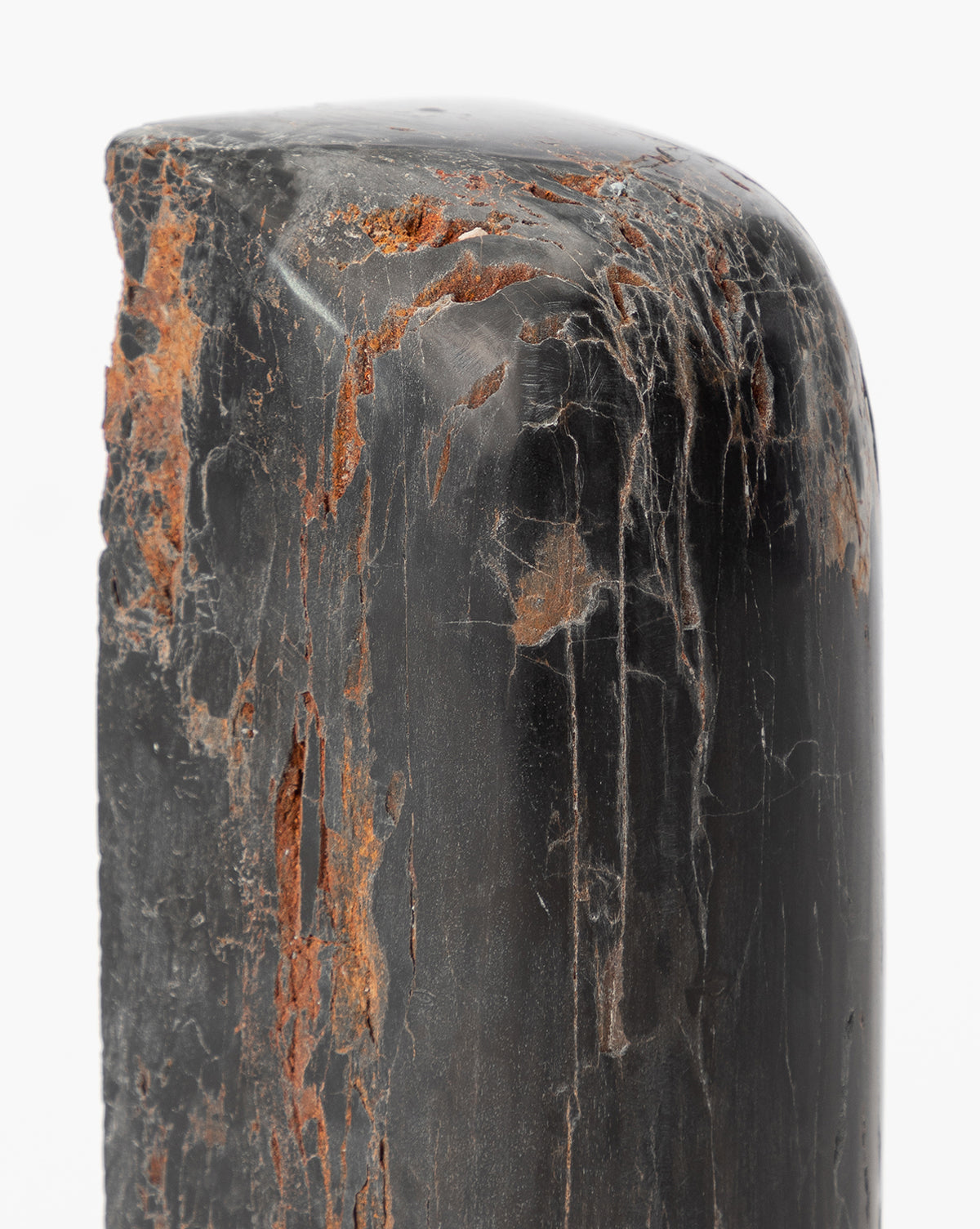 McGee & Co - Petrified Wood Bookends (Set of 2)