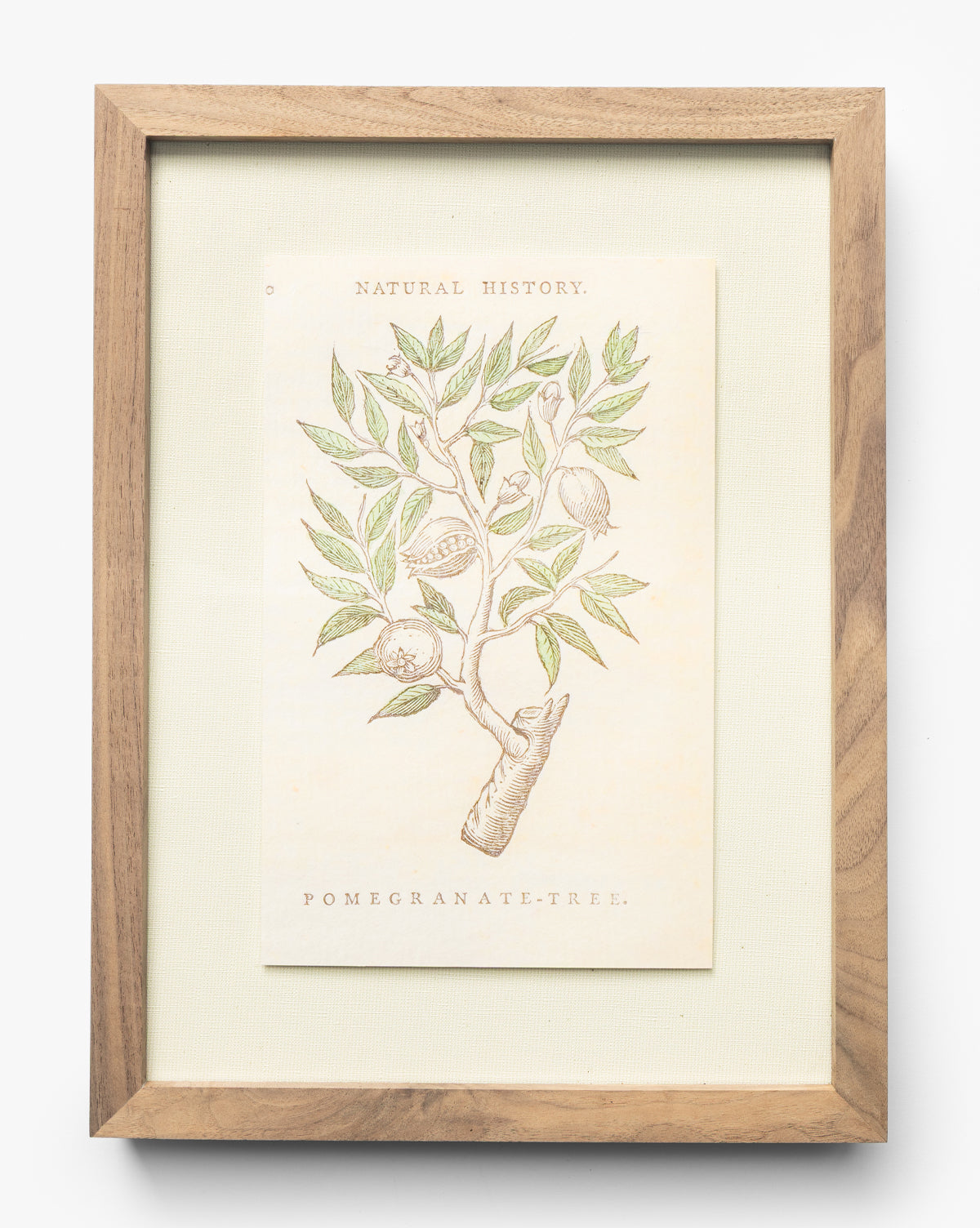 McGee & Co - Pomegranate Tree