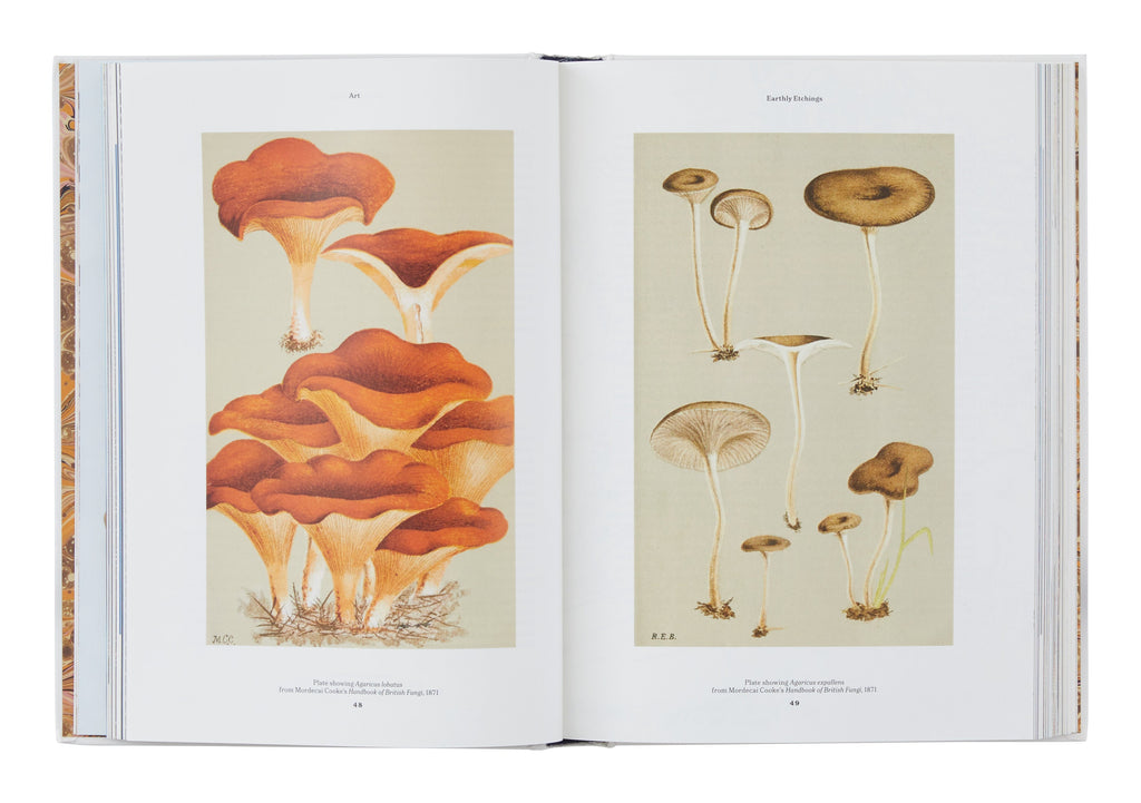 Jayson Home - The Gourmand's Mushroom: A Collection of Stories and Recipes