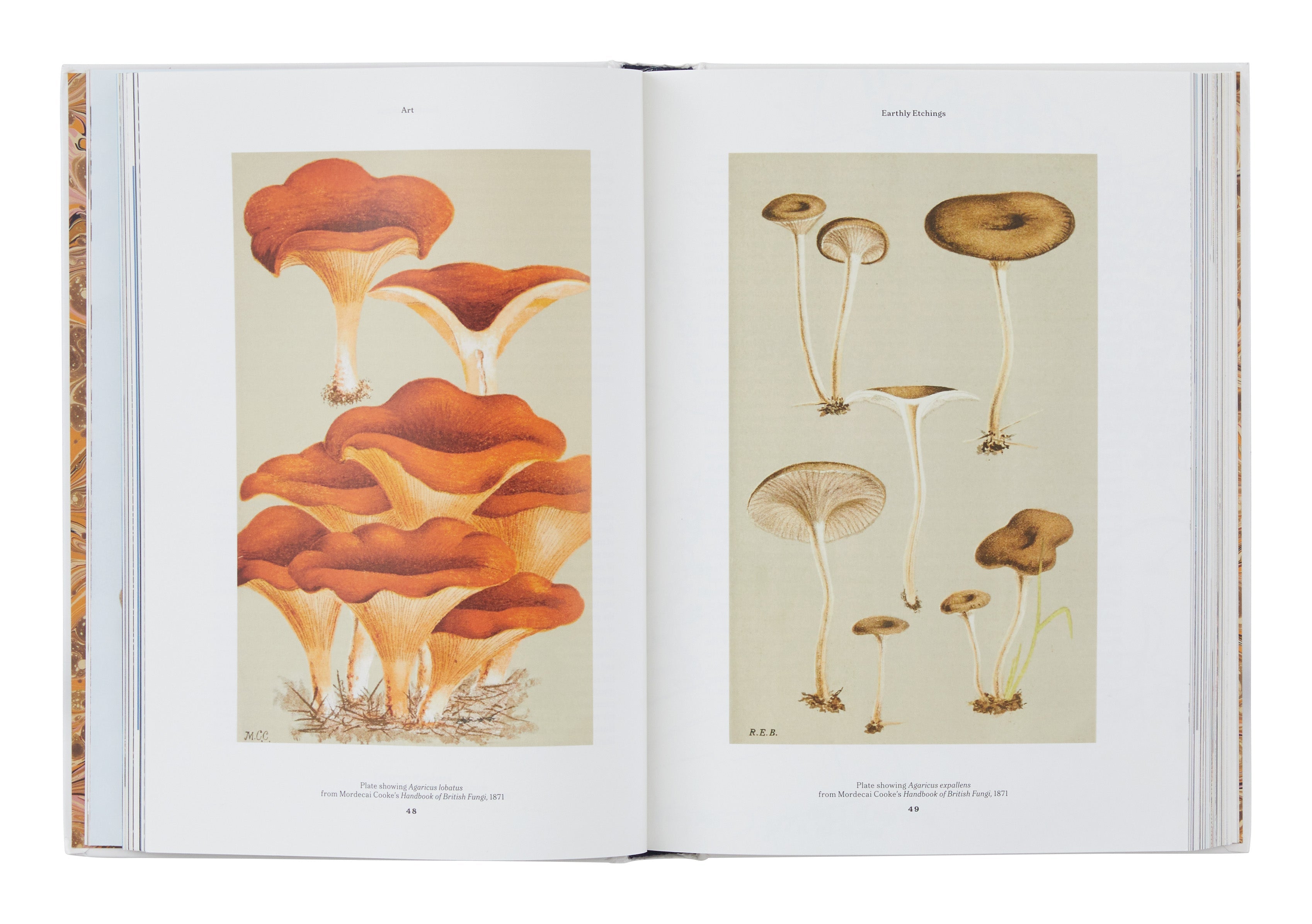 Jayson Home - The Gourmand's Mushroom: A Collection of Stories and Recipes