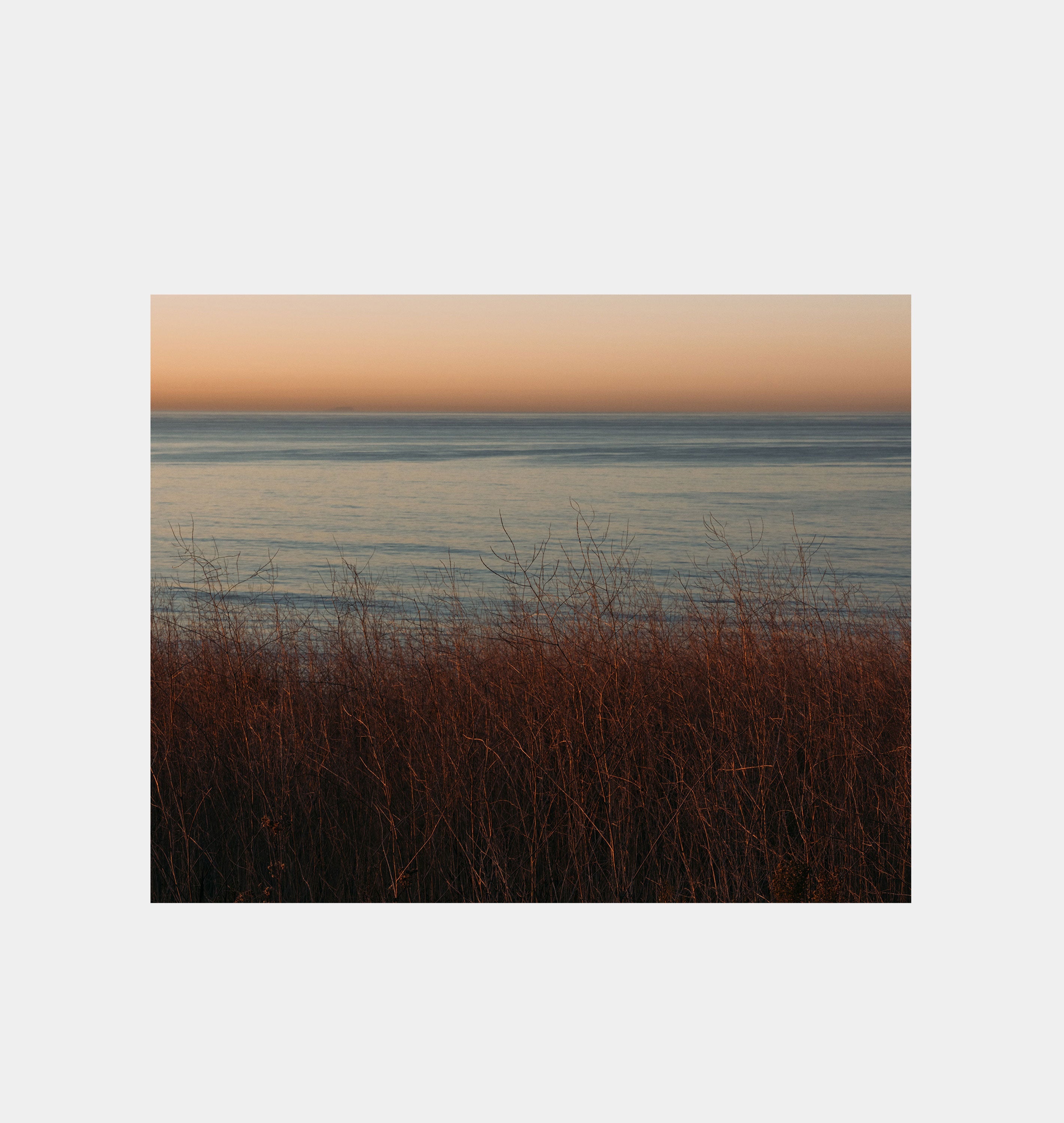 Amber Interiors - Malibu Morning 01