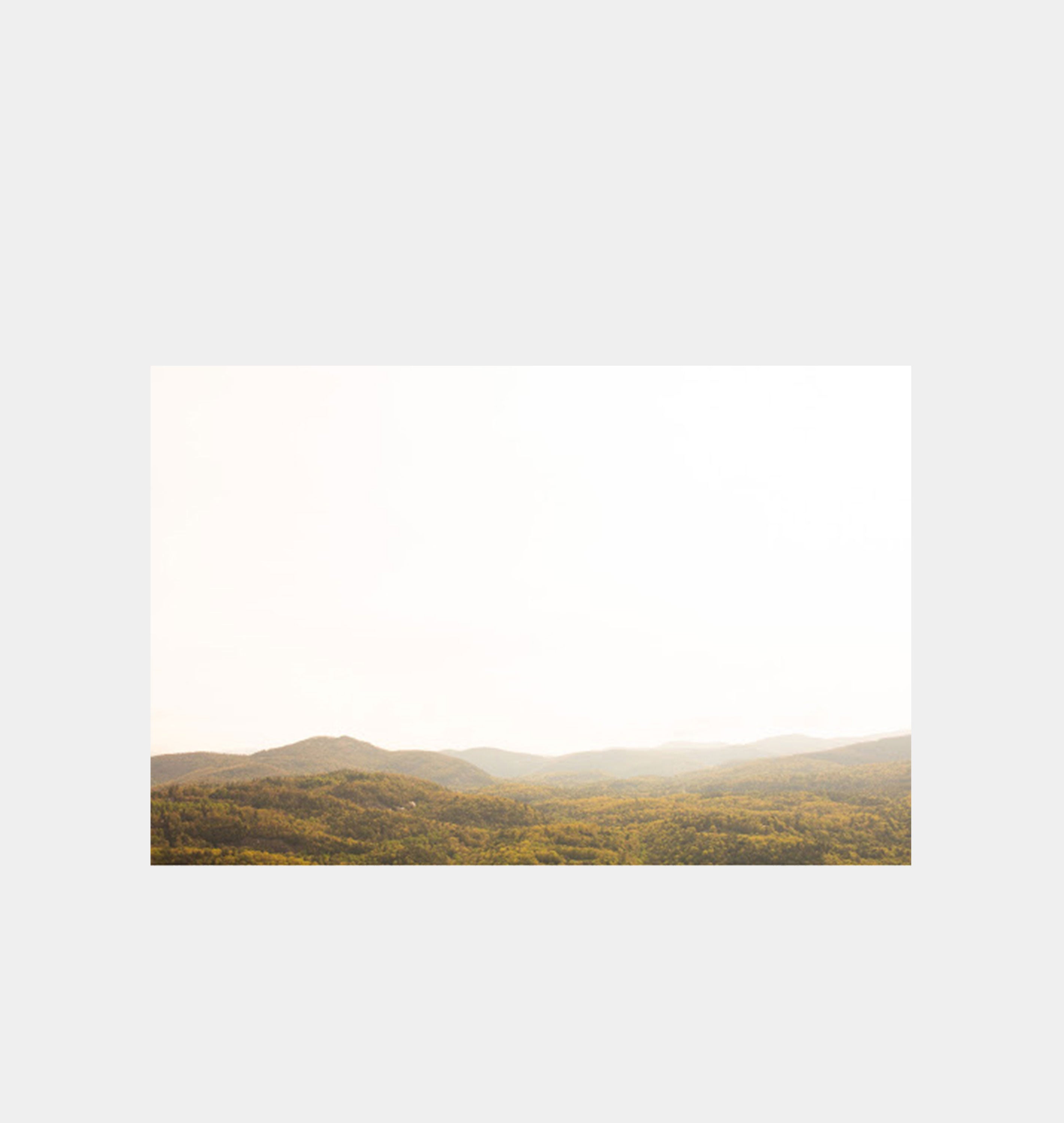 Amber Interiors - Mountain 23