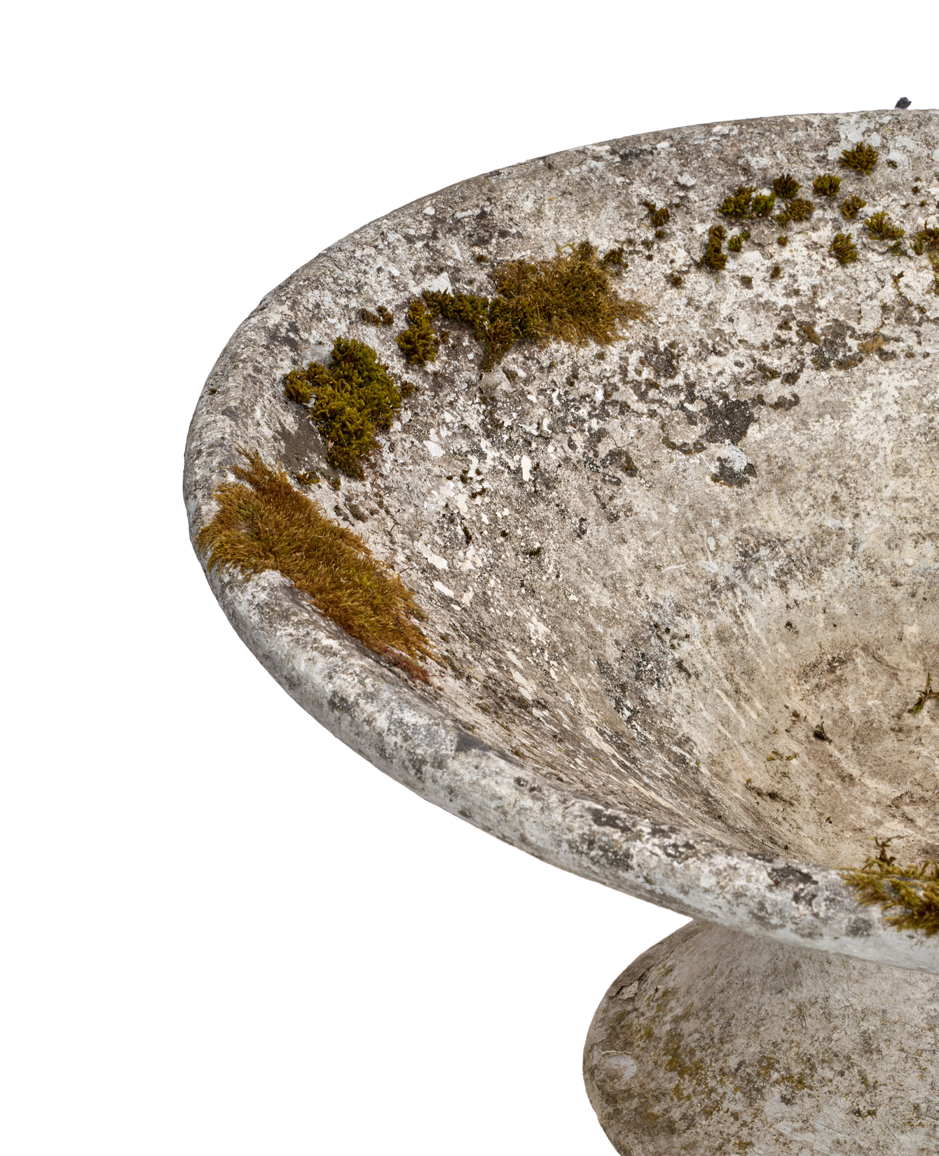 Olive Ateliers - Willy Guhl Planter - Soucoupe