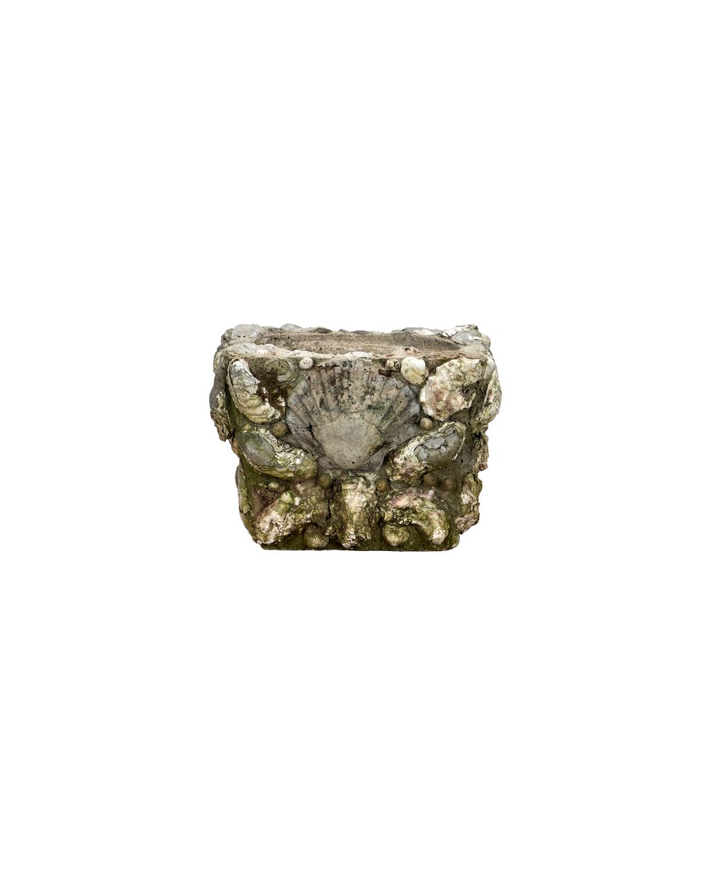 Olive Ateliers - Shell Planters