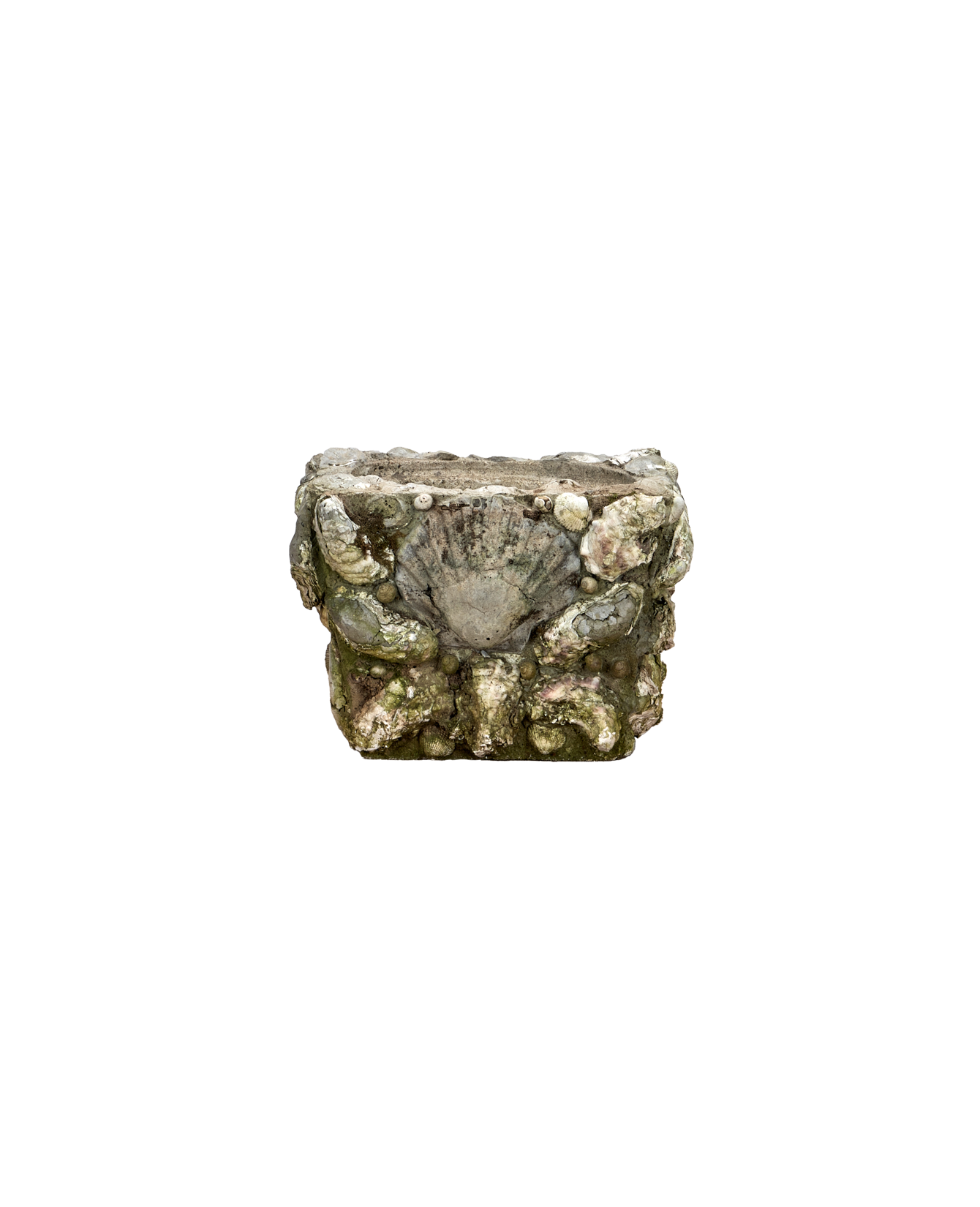 Olive Ateliers - Shell Planters