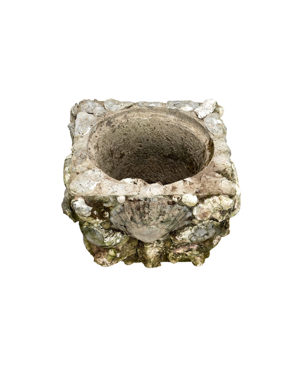 Olive Ateliers - Shell Planters
