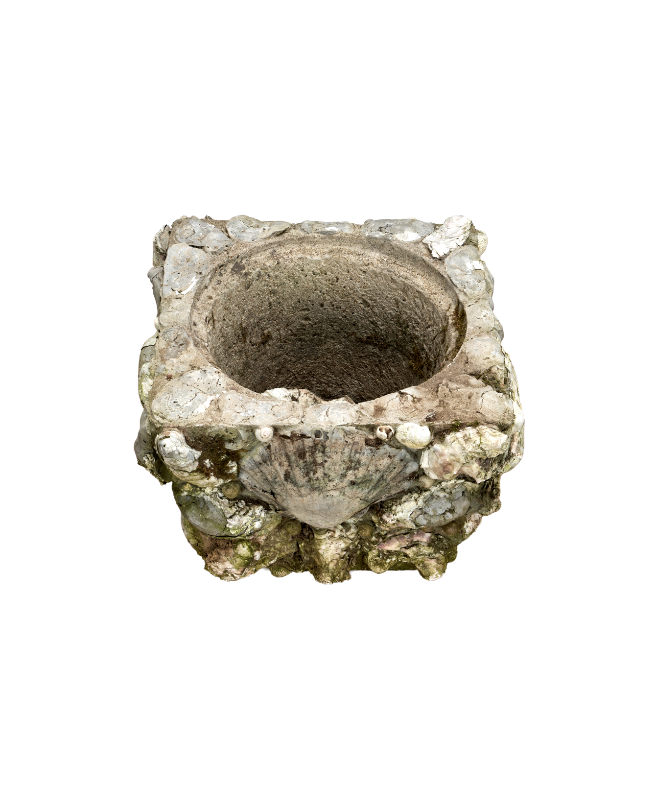 Olive Ateliers - Shell Planters