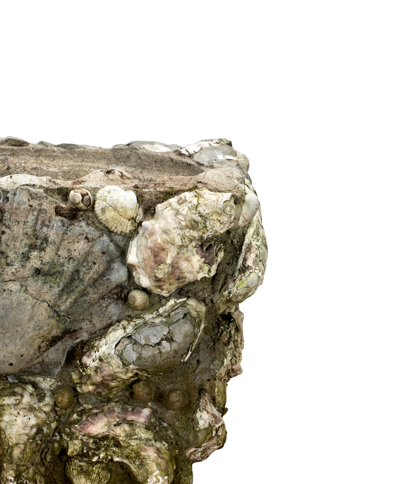 Olive Ateliers - Shell Planters