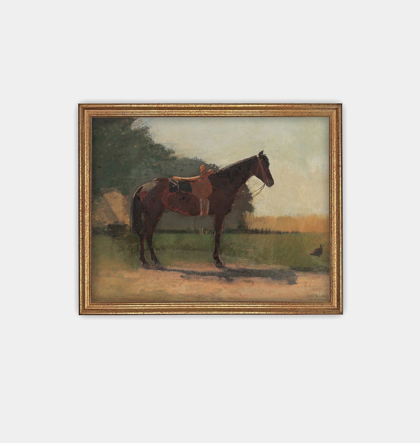 Amber Interiors - Saddle Horse in Farmyard Framed Print