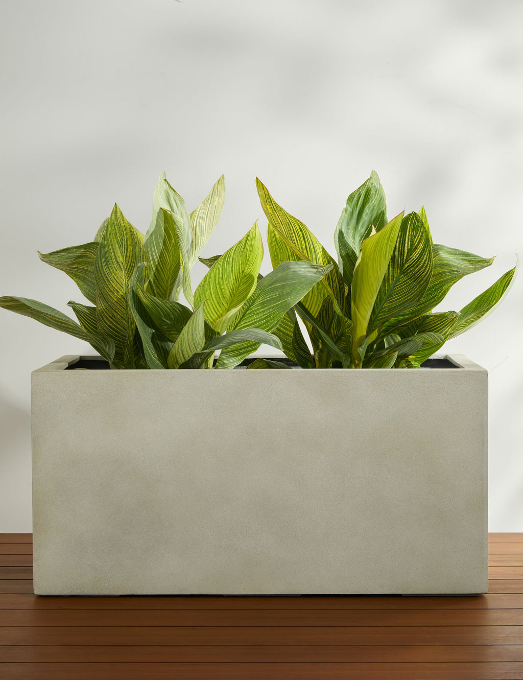 Lulu and Georgia - Sandal Planter by Campania International