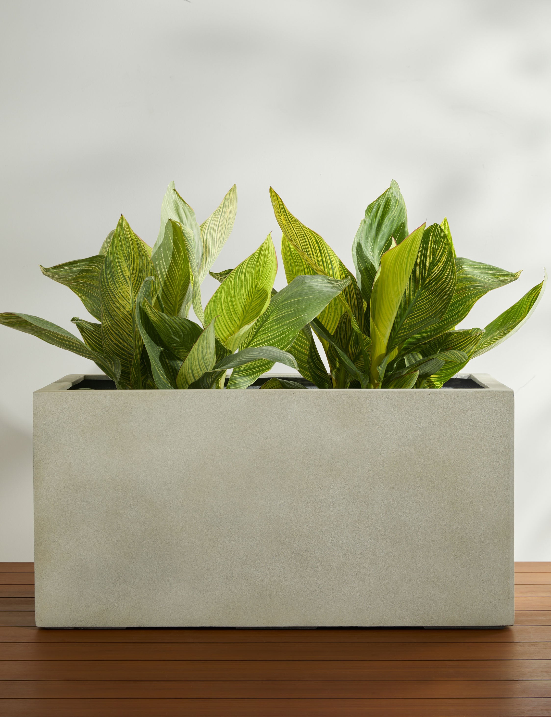 Lulu and Georgia - Sandal Planter by Campania International