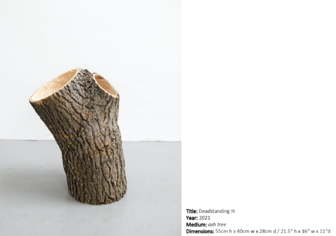 Nicky Kehoe - DEADSTANDING III