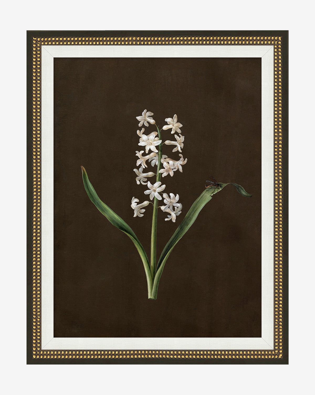 McGee & Co - Sepia Sprouts I