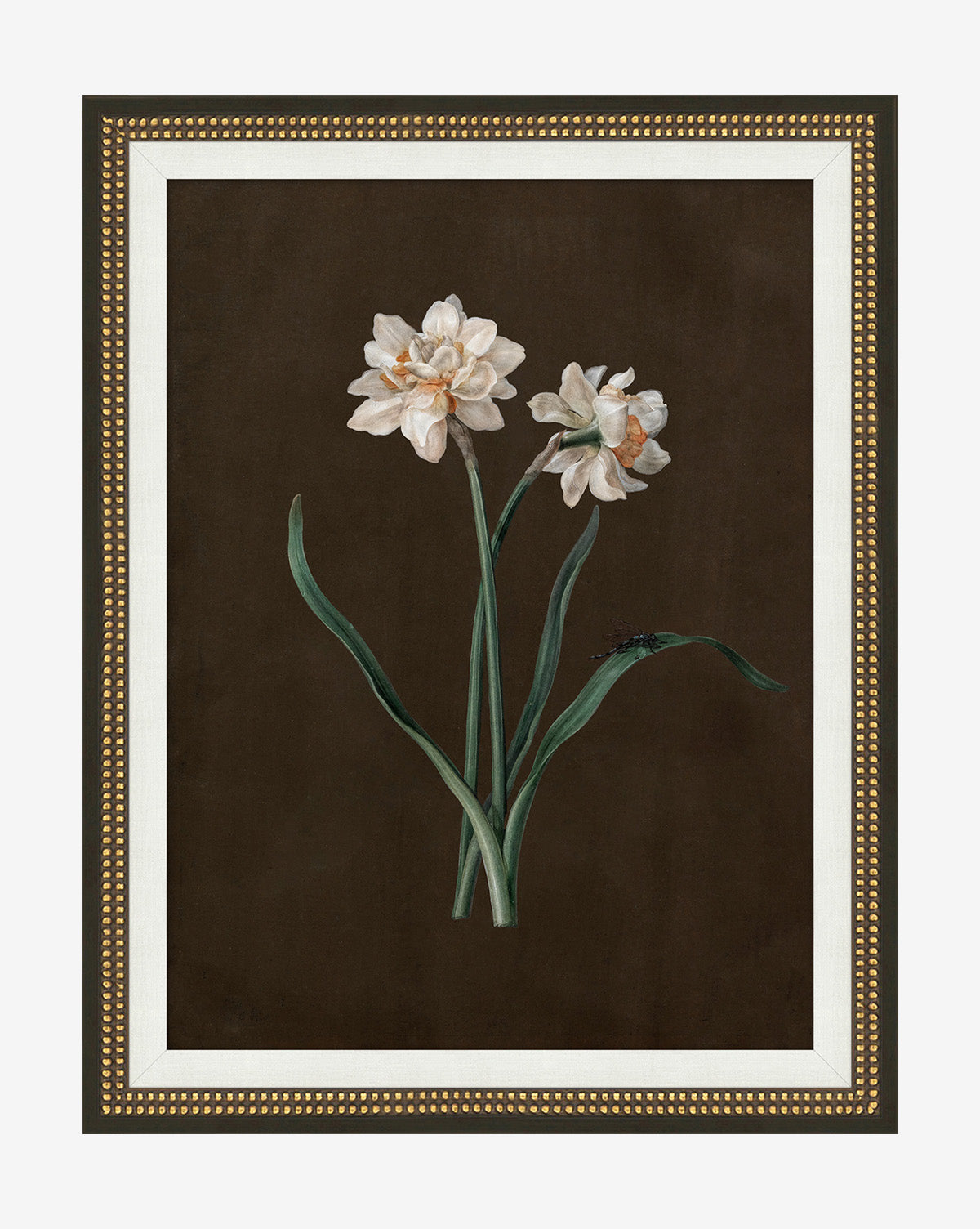 McGee & Co - Sepia Sprouts III