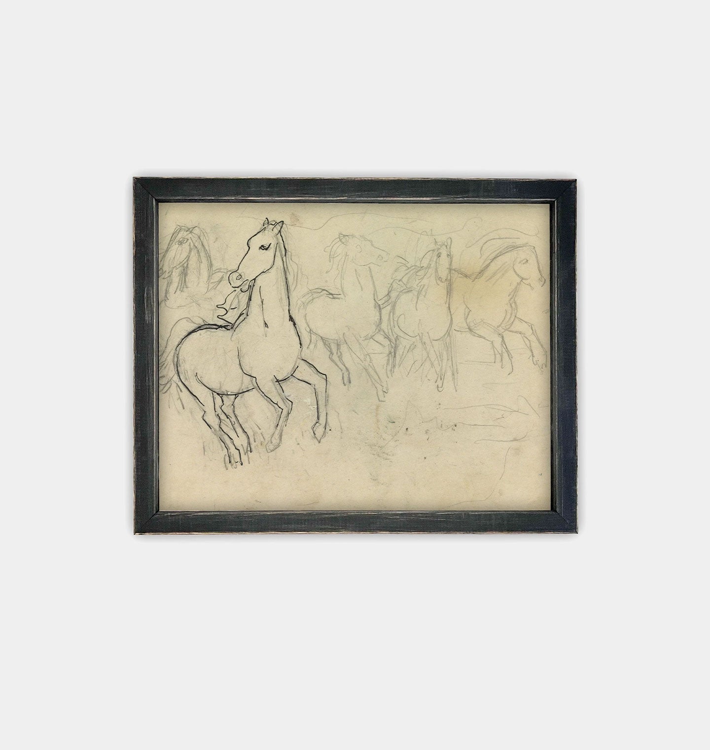 Amber Interiors - Sketched Horses Framed Print