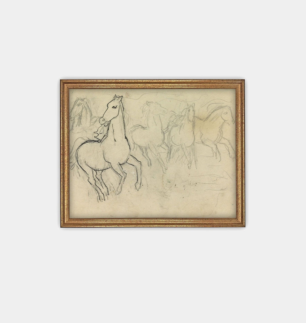 Amber Interiors - Sketched Horses Framed Print