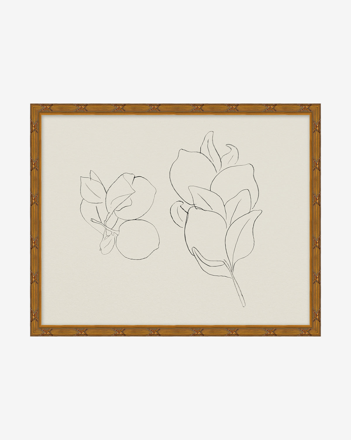 McGee & Co - Sketched Fruit II