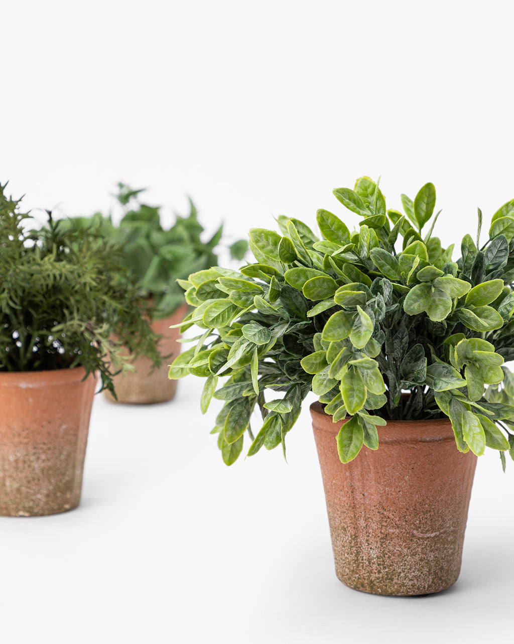 McGee & Co - Soft Potted Herbs (Set of 3)