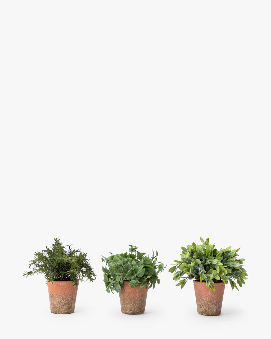McGee & Co - Soft Potted Herbs (Set of 3)