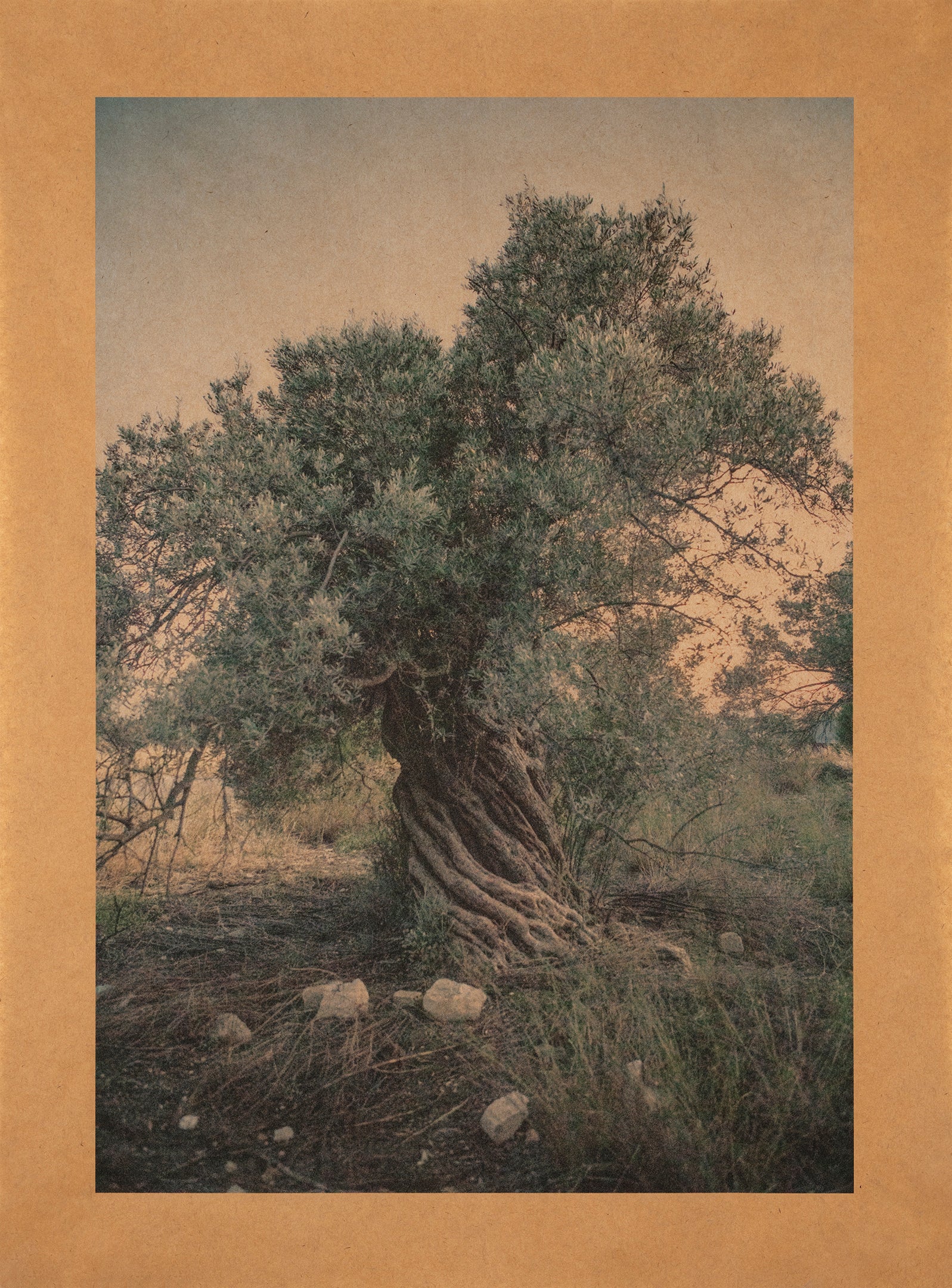 Nicky Kehoe - Song of Apollo’s Priestesses, Crete