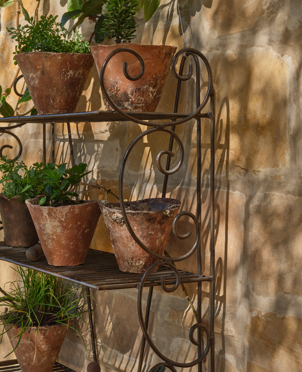 Olive Ateliers - Sonnet Potting Shelf