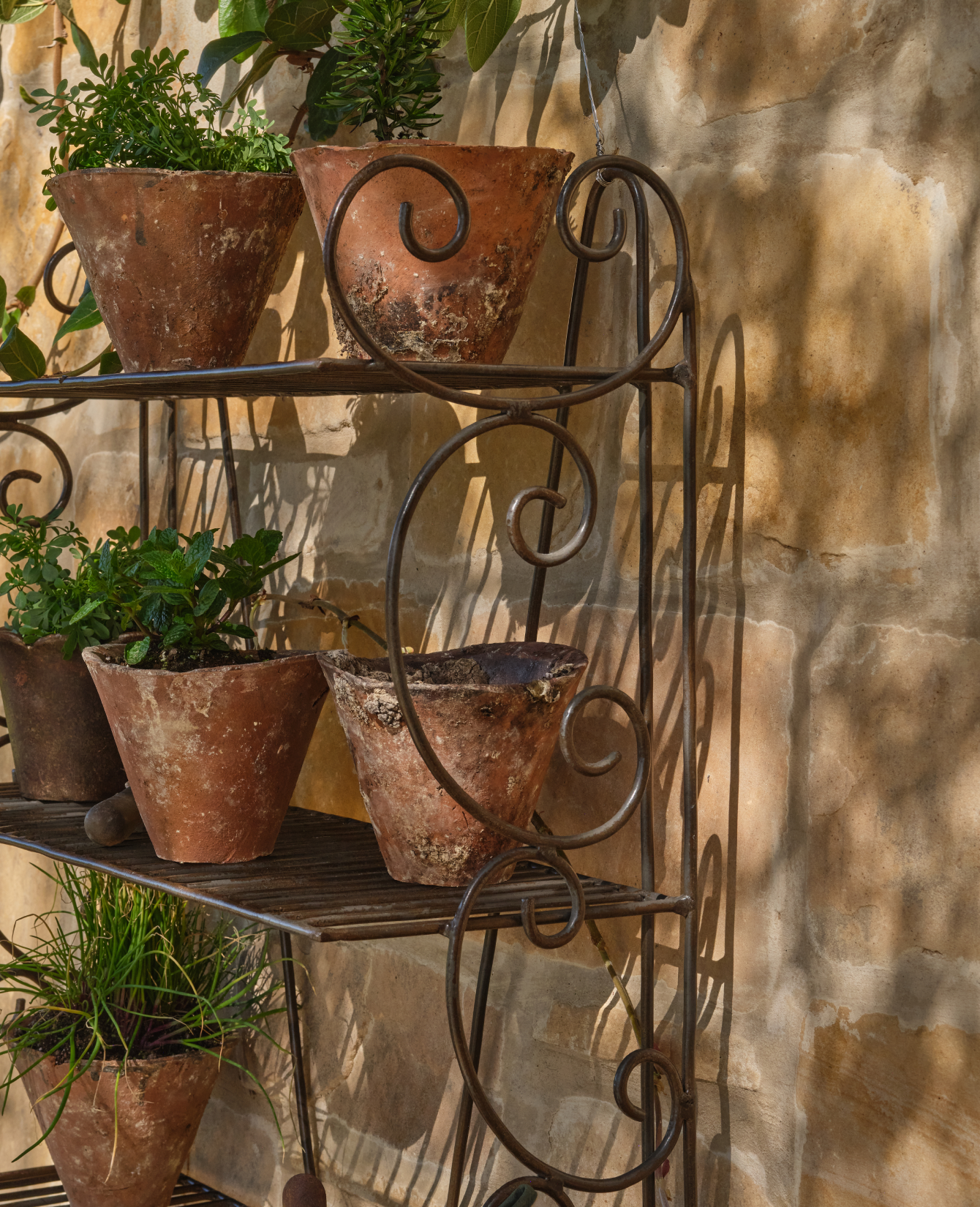 Olive Ateliers - Sonnet Potting Shelf